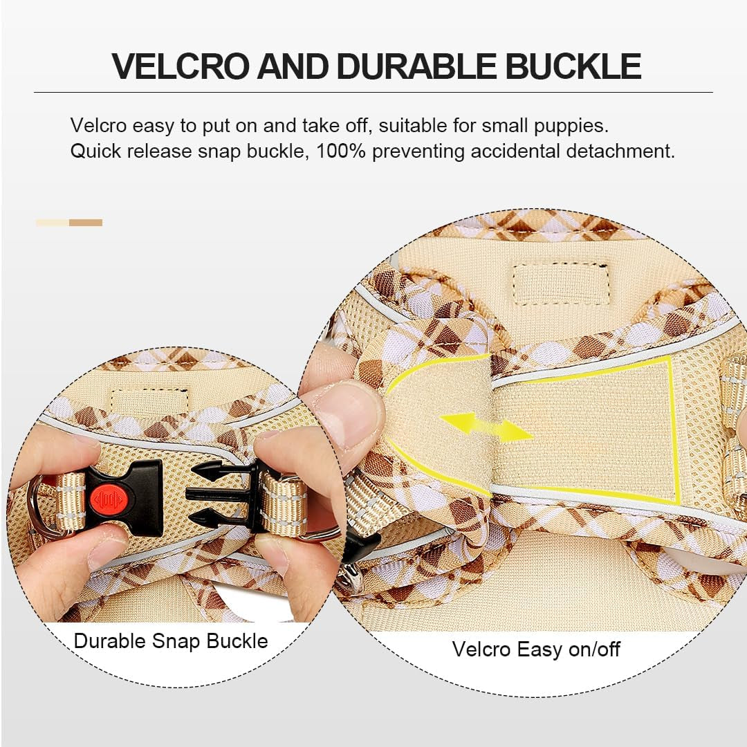 Soft Mesh Dog Harness and Leash Set, Step-In Reflective Breathable Lightweight Vest Harnesses with Safety Buckle for Small Dogs, Cats (Beige, XXS)