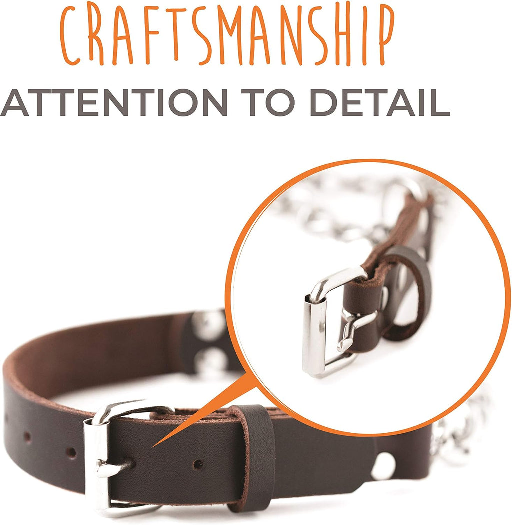 Martingale Dog Collar - No Pull Design - Stainless Steel Chain - Limited Chain Cinch Training - Brown Leather Martingale Training Collar - Medium Size