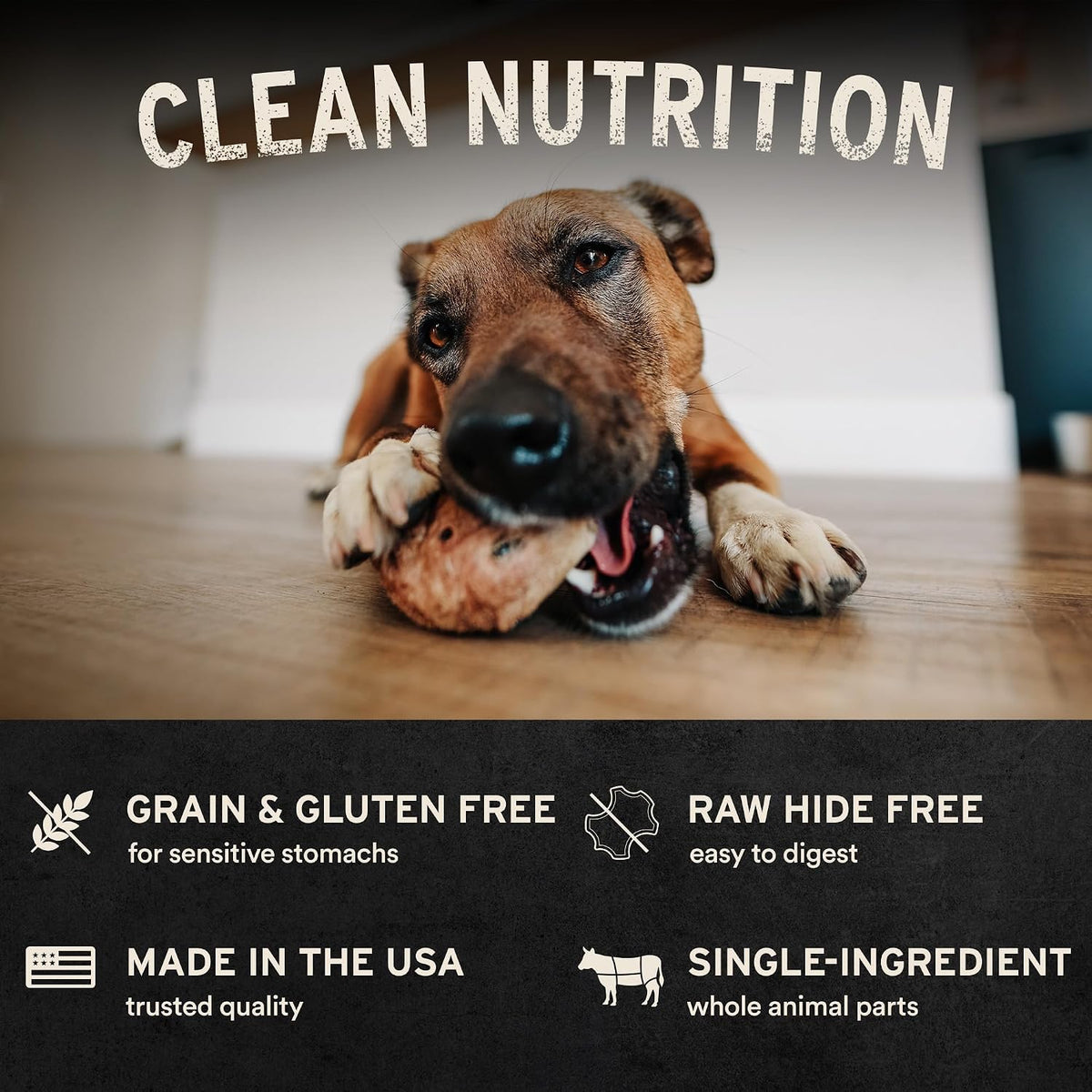 Freeze-Dried Raw Duck Neck Dog Treat, 1-Pack