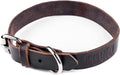 Leather Dog Collar - Genuine Distressed Leather - Strong Metal Buckle - Ultimate Comfort - Modern Style for All Dogs Breeds - Comfort Puppy Collar - (Large - Brown)