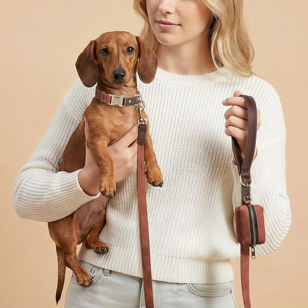 PU Leather Dog Collar for Small Dogs Puppy, Soft Lining, Brown S