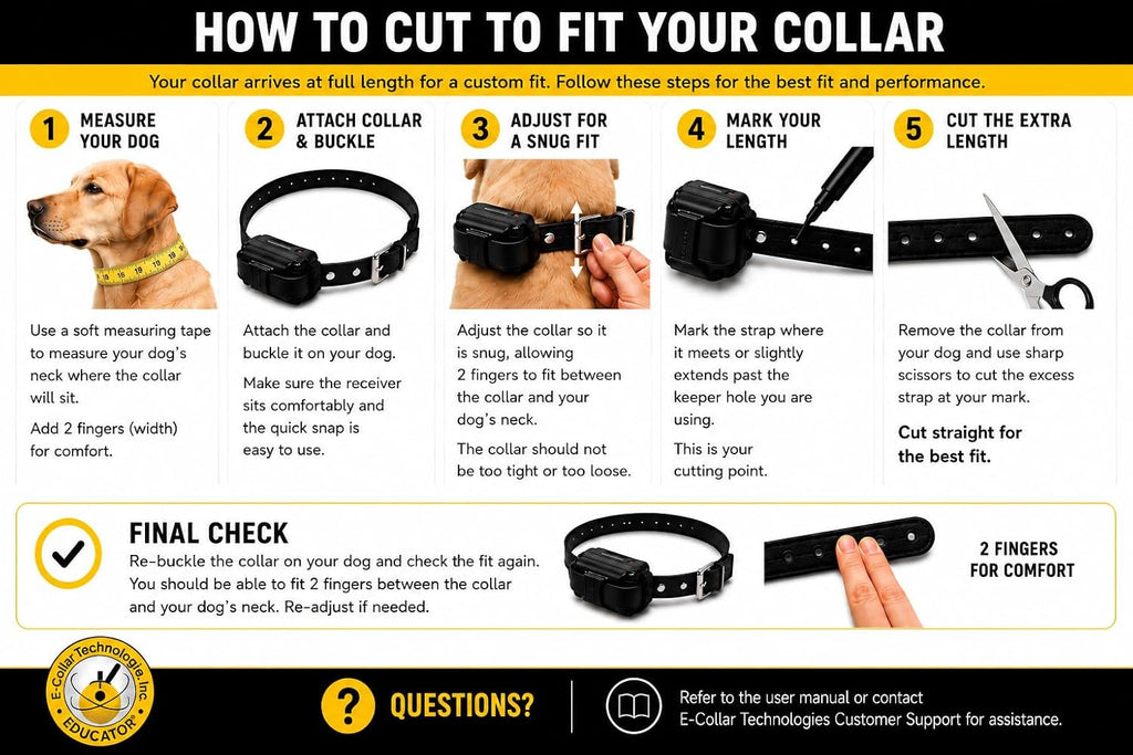 E-Collar  Pro PE-900 Dog Training Collar, 1 Dog, Black