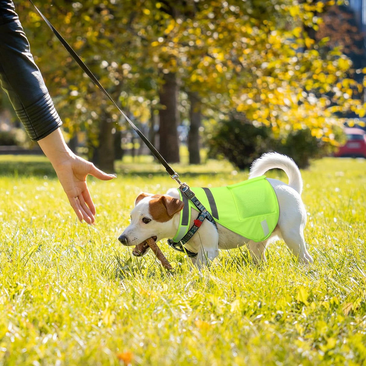 2 Pcs Dog Cooling Vest, Ice Pack, Fluorescent Green, Medium
