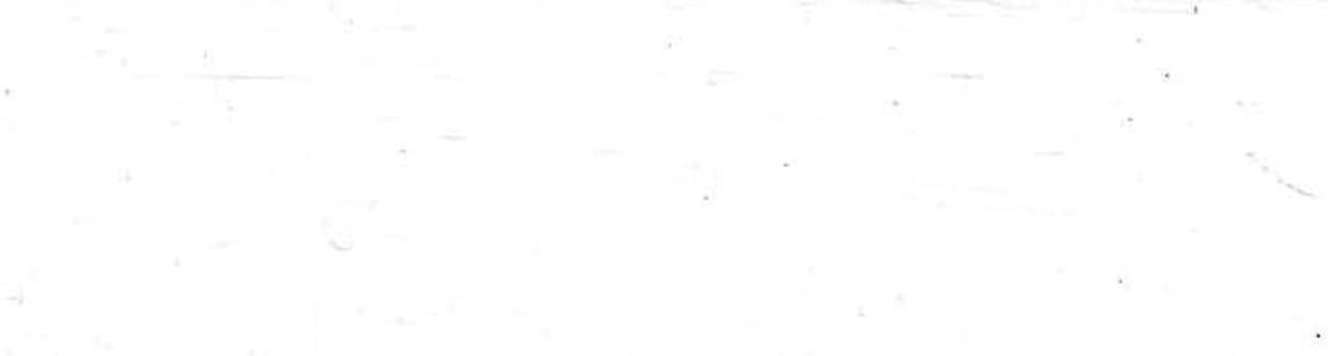 Topside Paint for Inflatable Boats and Dinghies (White, Quart)