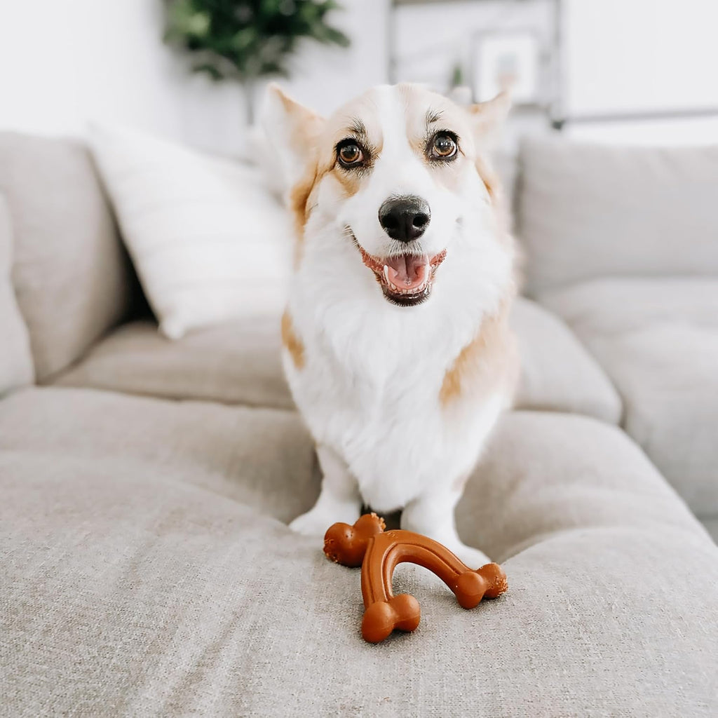 Power Chew Easy-Hold Wishbone Dog Chew Toy, Small