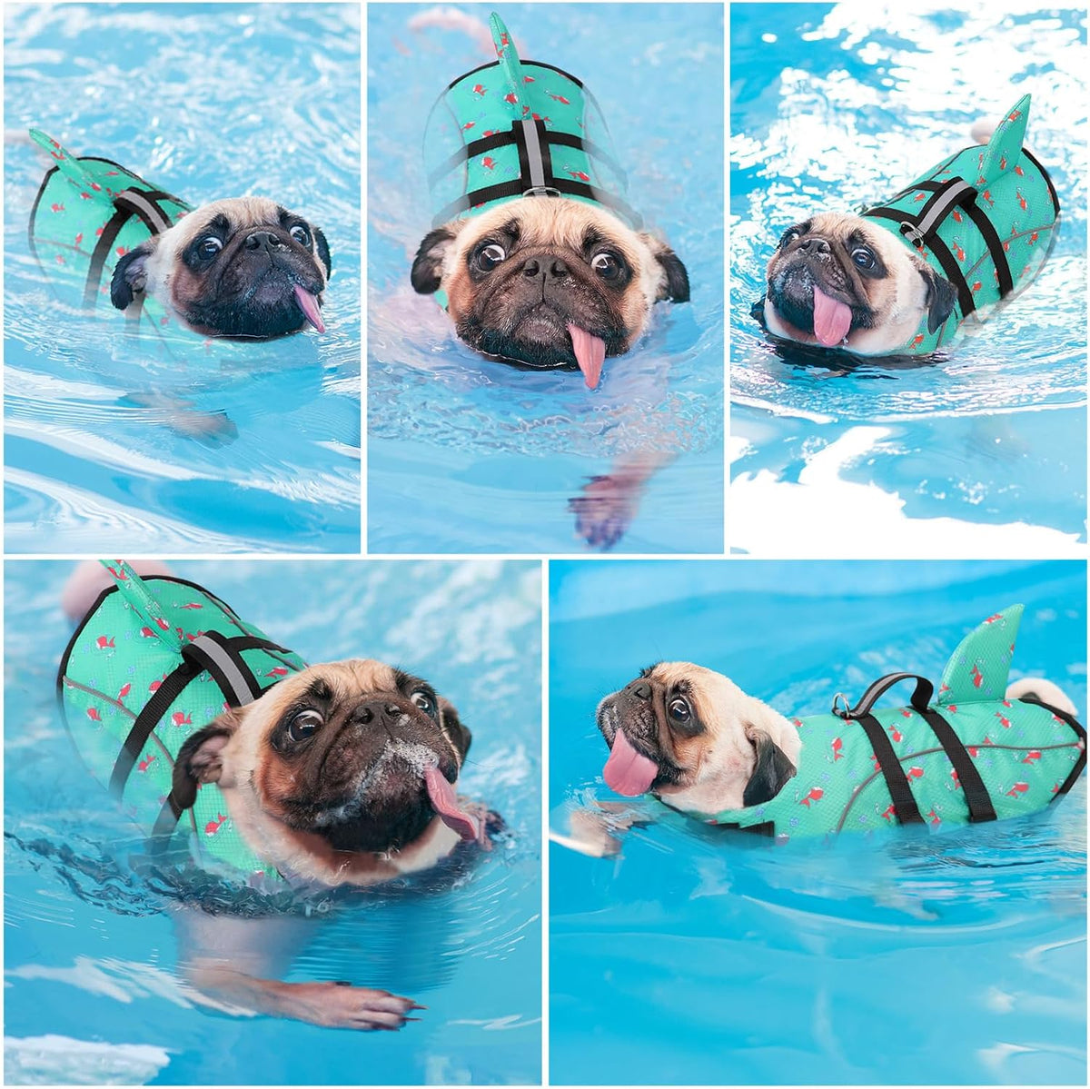 Small Dog Life Vest for Swimming Puppy Shark Dog Life Jacket XS