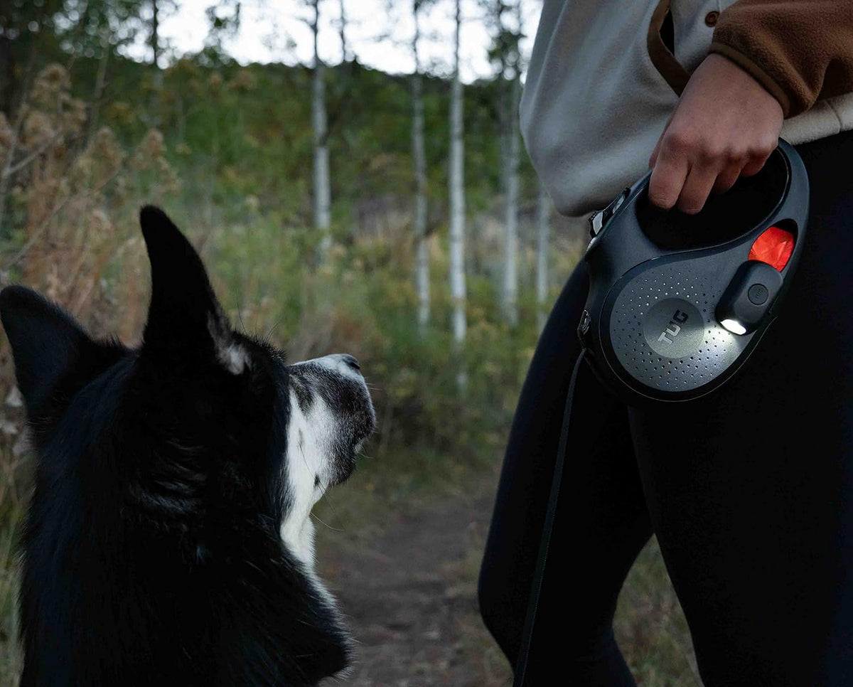 Oval 360° Tangle-Free Retractable Dog Leash | Flashlight Included | Integrated Waste Bag Dispenser Pocket (Medium, Black)