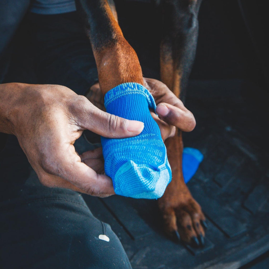 , Bark'N Boot Dog Socks - 4 Count, Blue Pool, 2.50 In/ 2.75 In