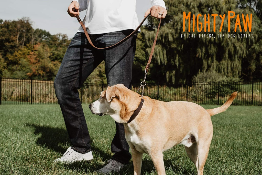Martingale Dog Collar - No Pull Design - Stainless Steel Chain - Limited Chain Cinch Training - Brown Leather Martingale Training Collar - Medium Size