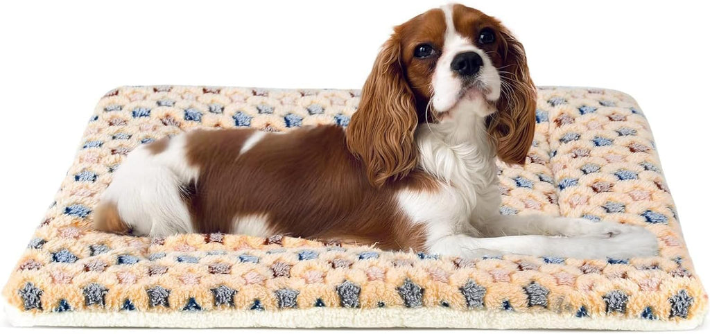 Dog Crate Pad Bed Ultra Soft Pet Mat Star Print Brown 23 X18 Inch