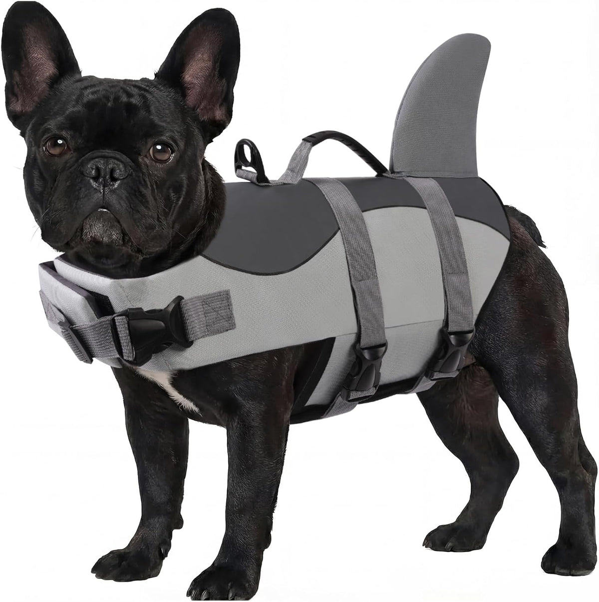 Dog Life Jacket - Pet Safety Vest for Swimming & Boating, Shark Life Jacket with Floatation, Dog Lifesavers Swimsuits for Small Medium Large Dogs (Grey, M)
