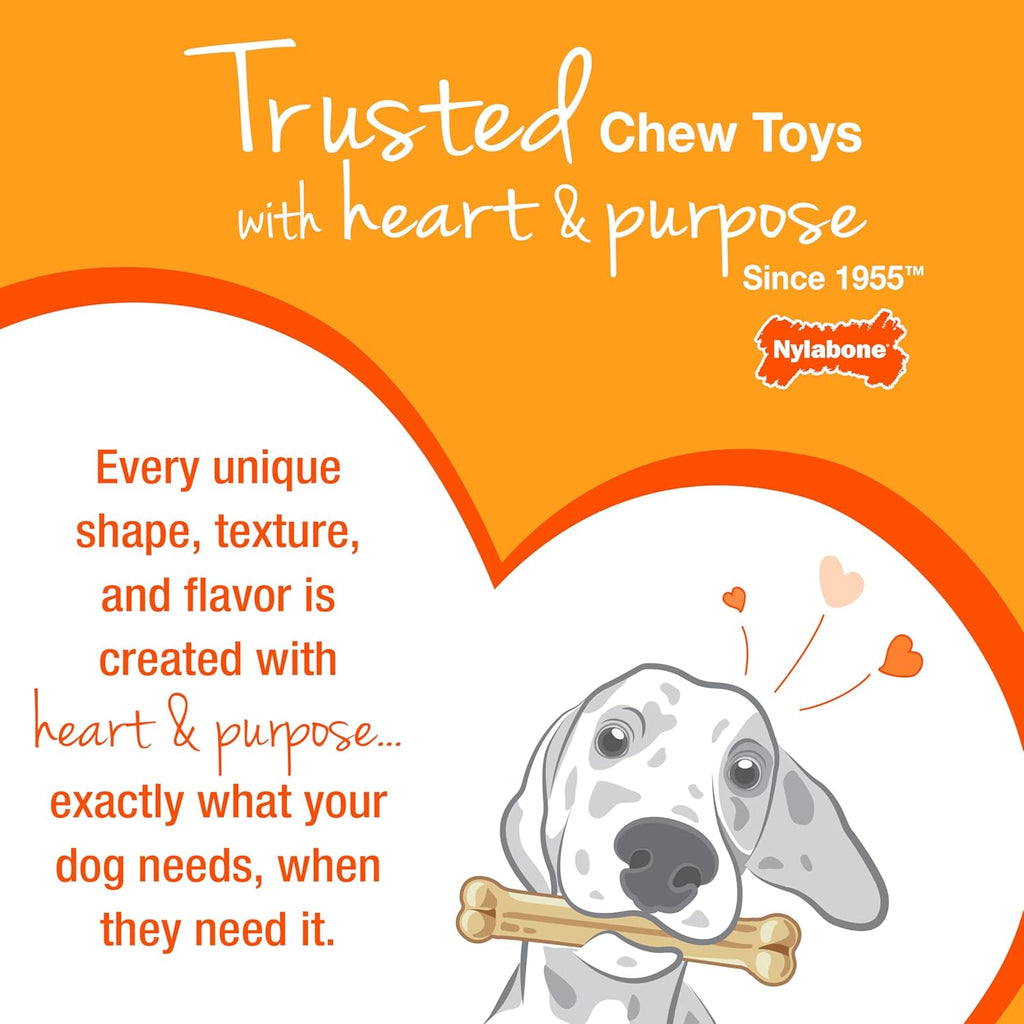 Power Chew Easy-Hold Wishbone Dog Chew Toy, Small