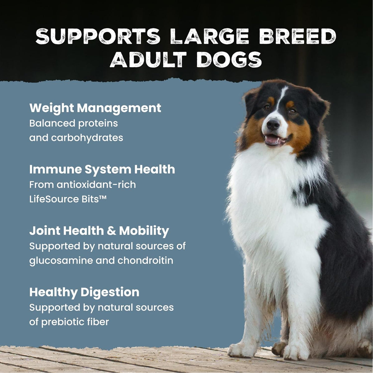 Wilderness Chicken Healthy Weight Dry Dog Food, 28 Lb