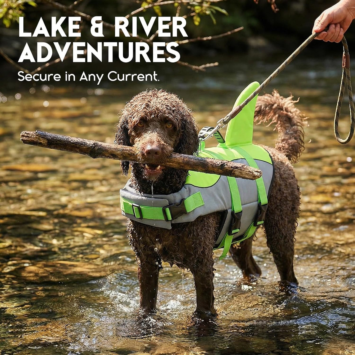 Dog Life Jacket - Pet Safety Vest for Swimming & Boating, Shark Life Jacket with Floatation, Dog Lifesavers Swimsuits for Small Medium Large Dogs (Green, XL)