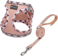 Soft Mesh Dog Harness and Leash Set, Step-In Reflective Breathable Lightweight Vest Harnesses with Safety Buckle for Small Dogs, Cats (Champagne, S)