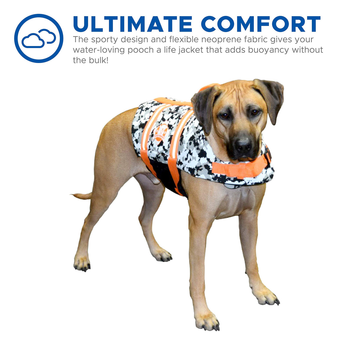 Paws aboard Dog Life Jacket - Keep Your Canine Safe with a Nylon Life Vest - Designer Life Jackets - Perfect for Swimming and Boating - Nautical Dog, Small