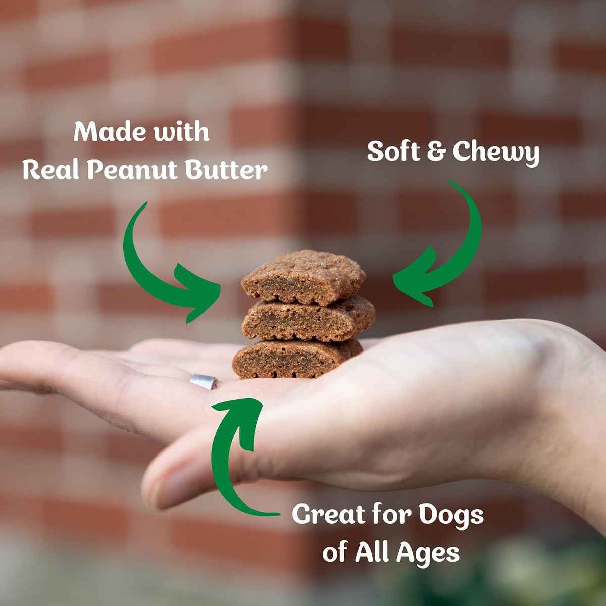 Natural Dog Treats, Softies, Peanut Butter Flavor, 16.2Oz Bag, 1 Bag