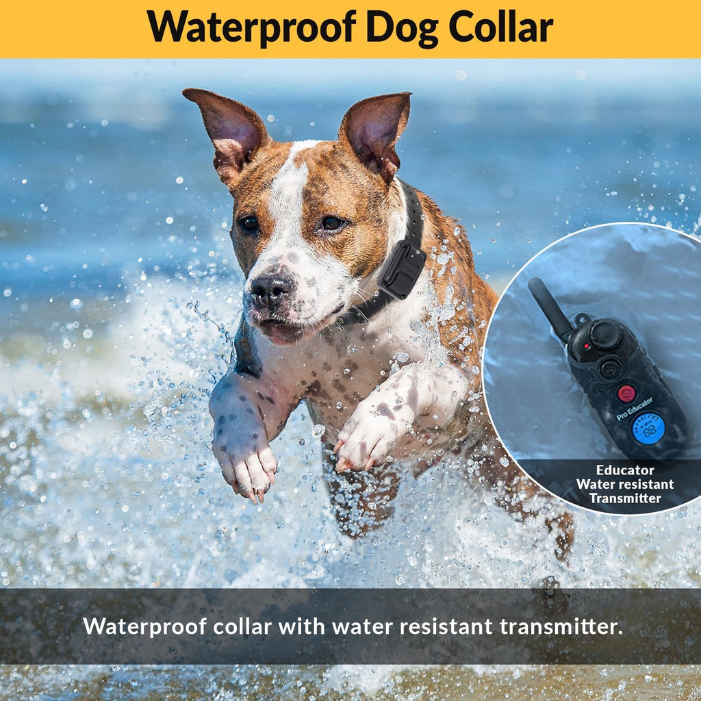 E-Collar  Pro PE-900 Dog Training Collar, 1 Dog, Black