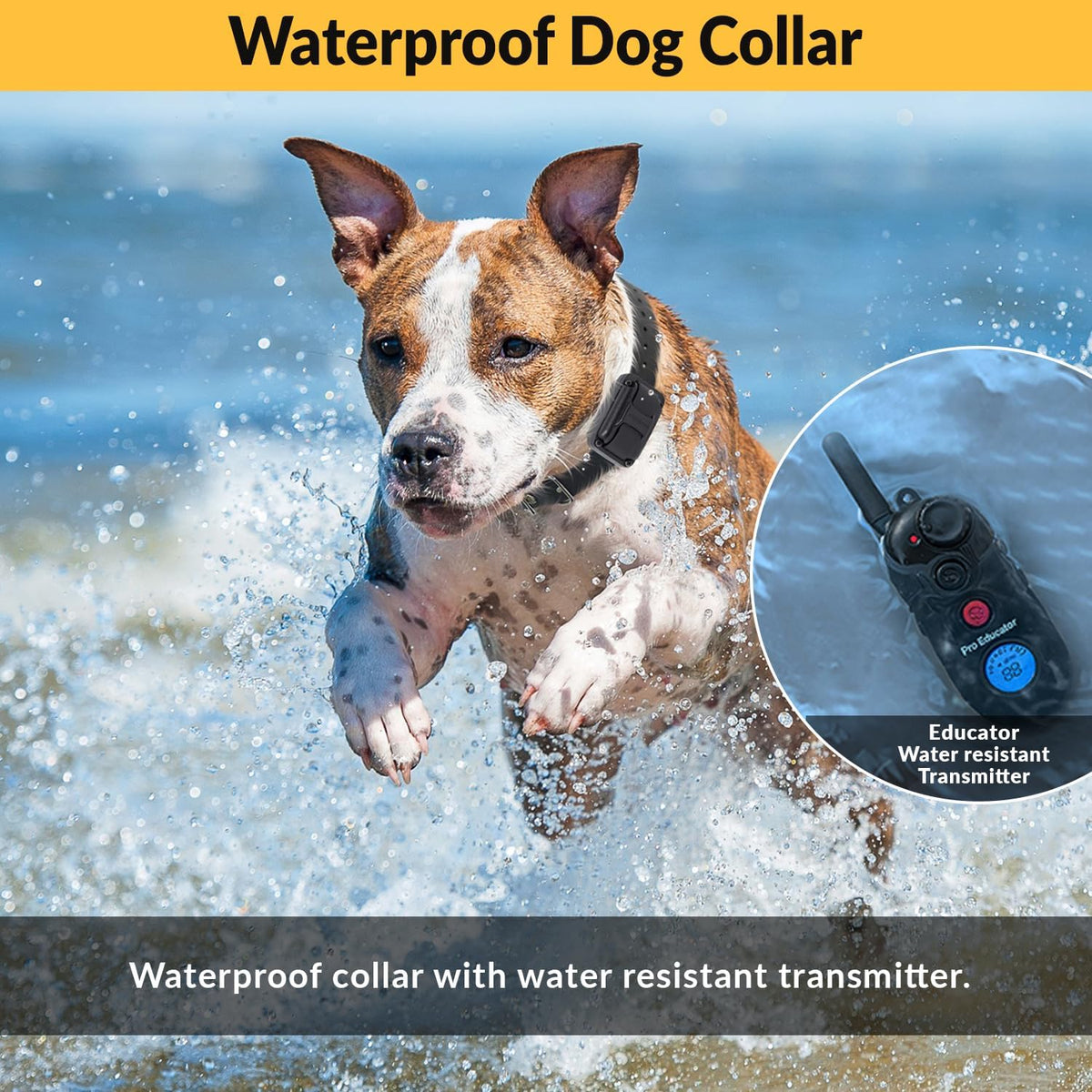E-Collar  Pro PE-900 Dog Training Collar, 1 Dog, Black