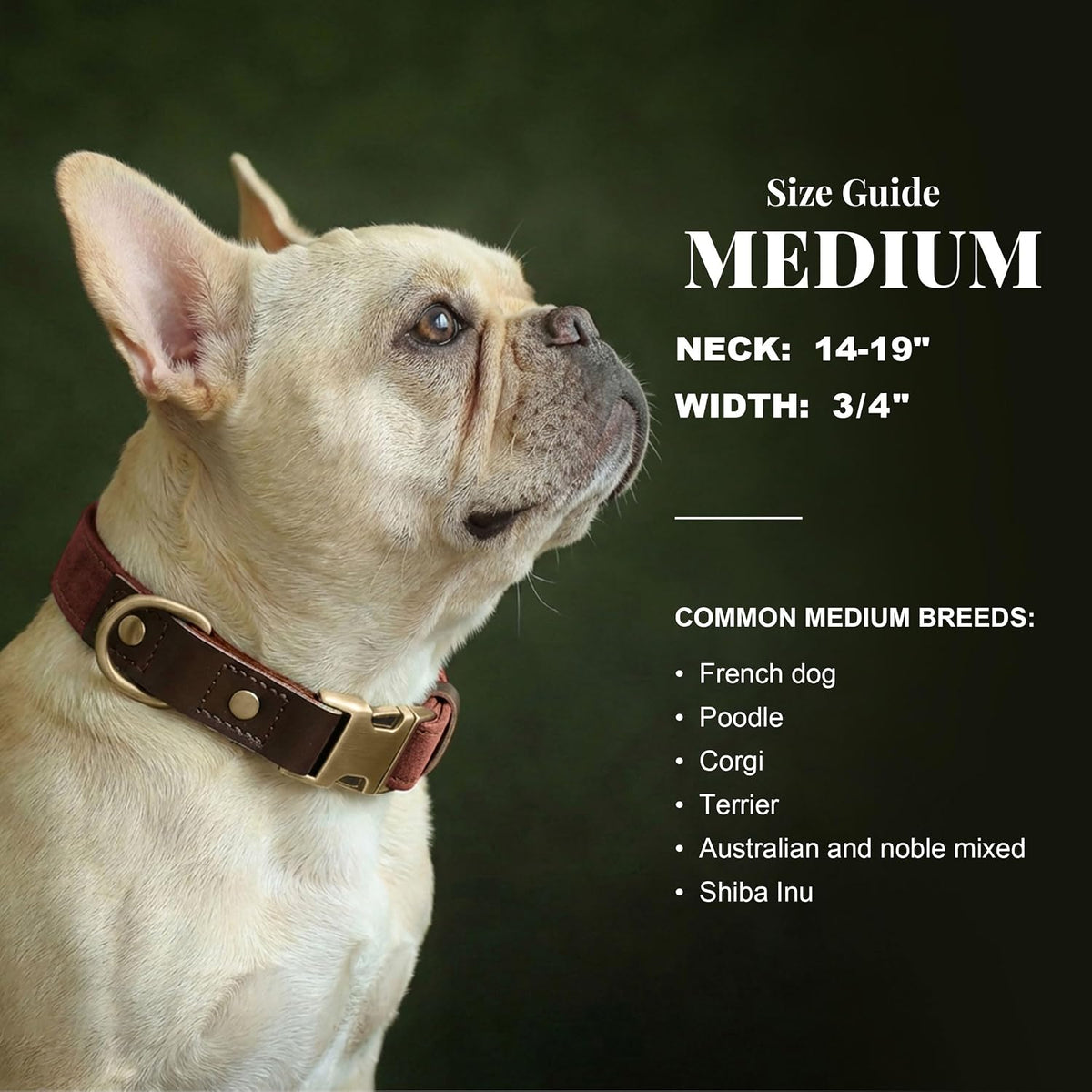 PU Leather Dog Collar for Medium Dogs, Soft Nylon Lining, Brown M