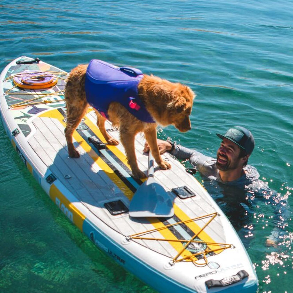 , Float Coat Dog Life Jacket, Swim Vest, Deep Blue, X-Small