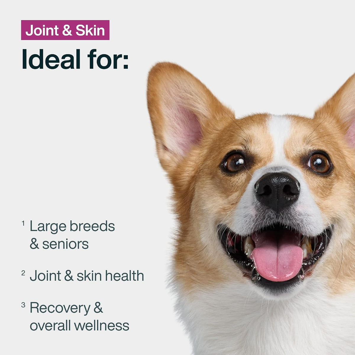 Frozen Fresh Dog Food for Sensitive Skin Allergies, Joint Health, Complete Meal or Human Grade Dog Food Topper, Joint & Skin Support, 18 Oz (Pack of 7)