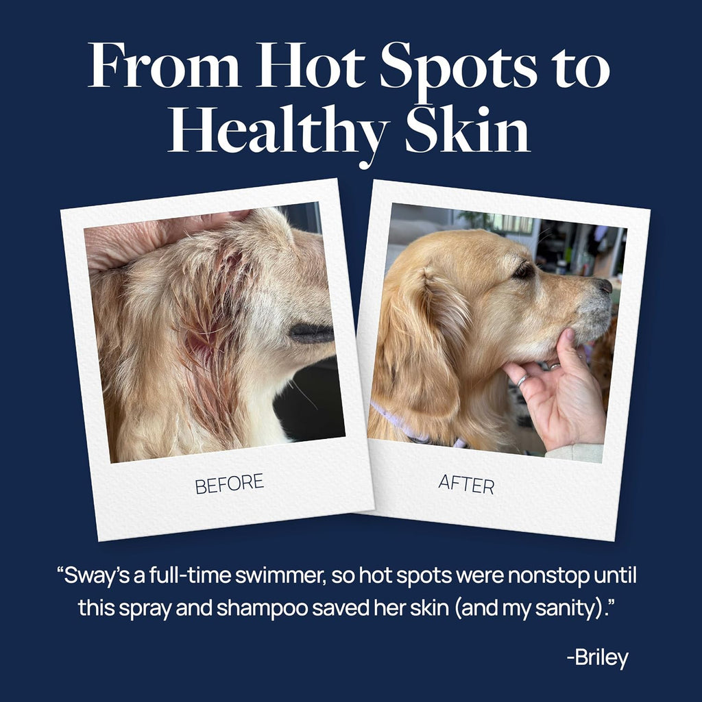 Clinical Care Hot Spot & Itch Relief Pet Shampoo, 16 Oz