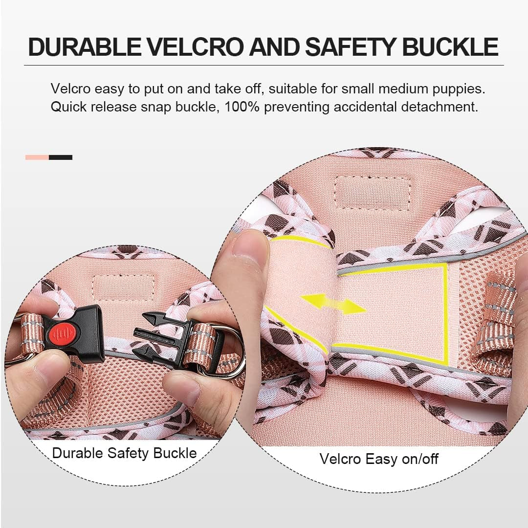 Soft Mesh Dog Harness and Leash Set, Step-In Reflective Breathable Lightweight Vest Harnesses with Safety Buckle for Small Dogs, Cats (Champagne, S)