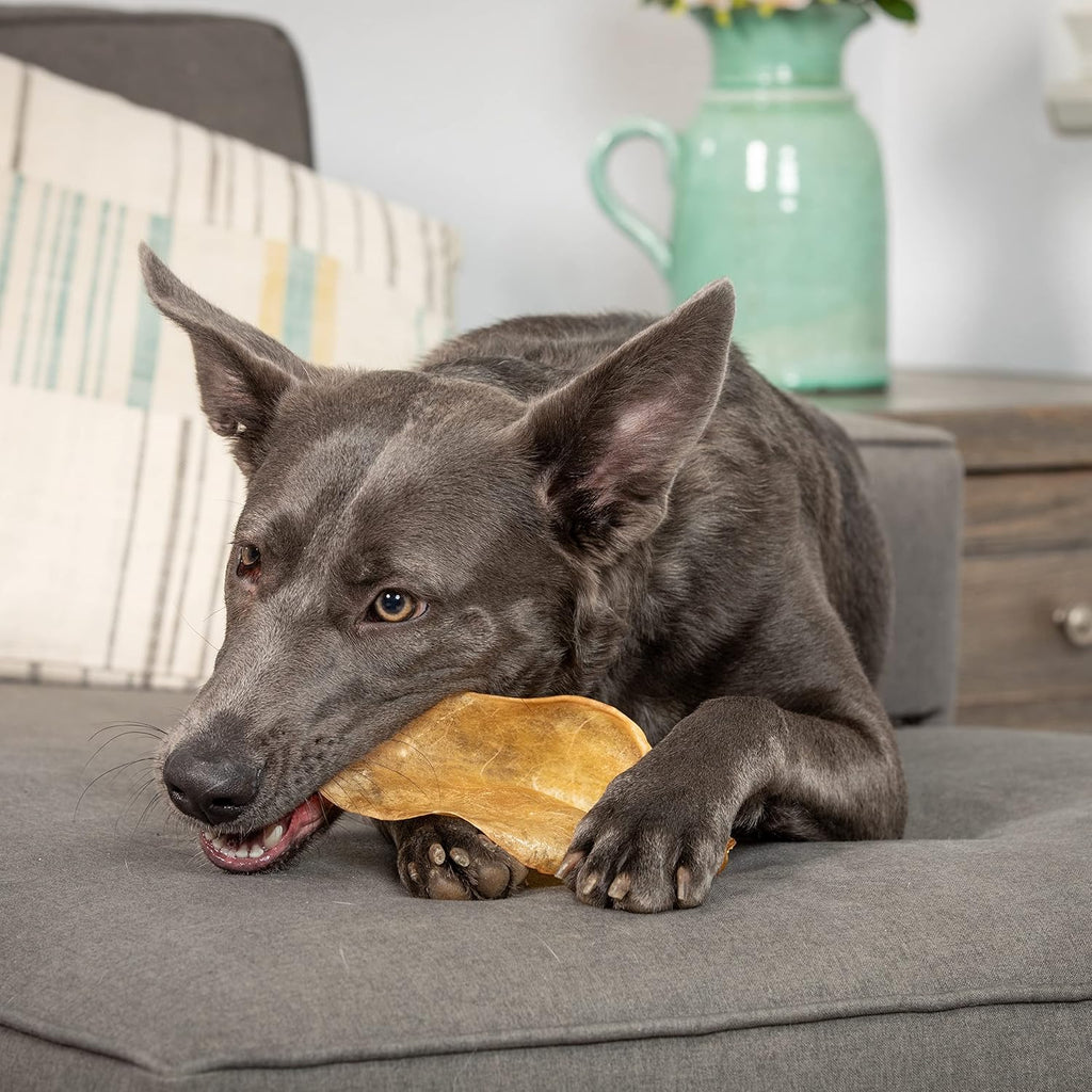 Water Buffalo Prime Bone Assortment Dog Chews 11 Pack, Grain Free