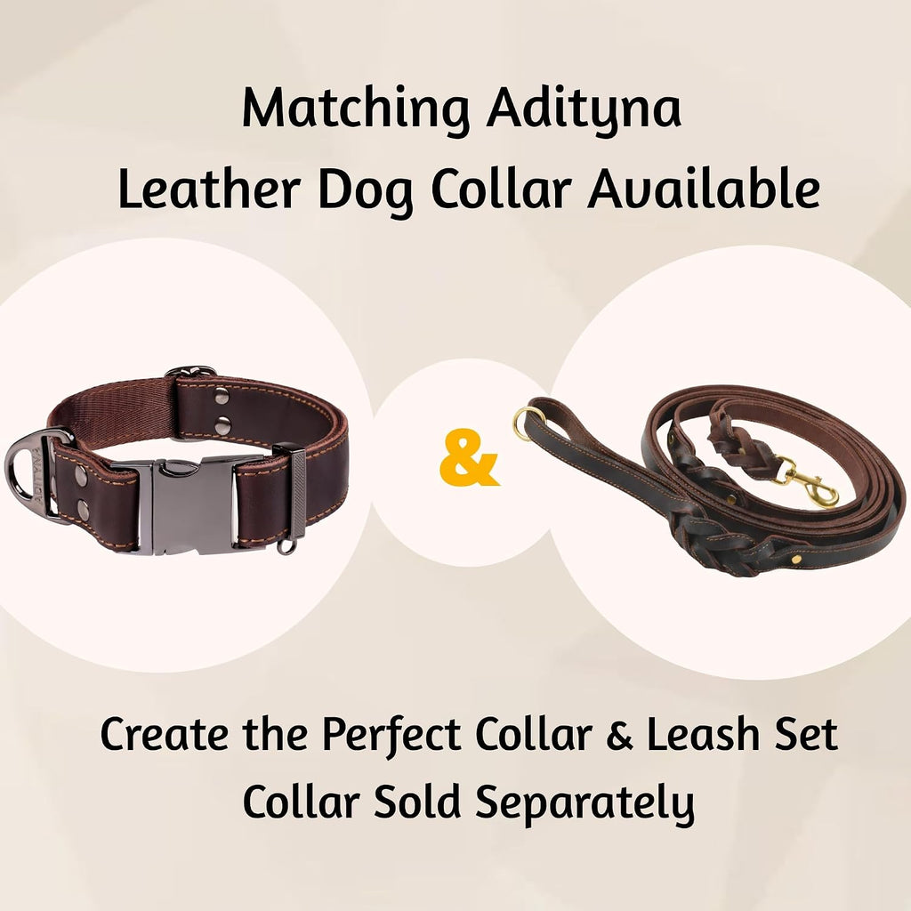 Leather Dog Leash with Traffic Handle, 6Ft, Medium & Large Dogs