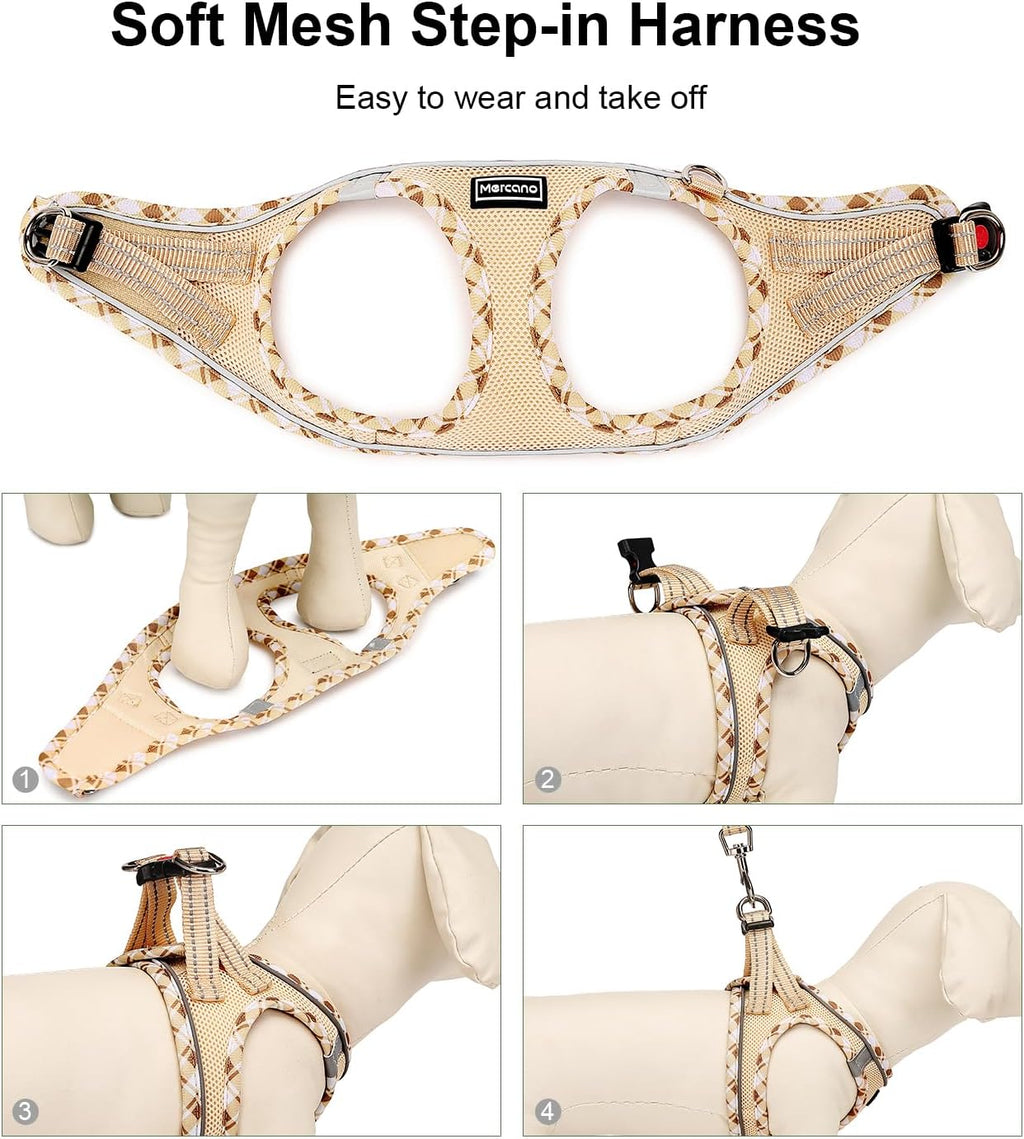 Soft Mesh Dog Harness and Leash Set, Step-In Reflective Breathable Lightweight Vest Harnesses with Safety Buckle for Small Dogs, Cats (Beige, XXS)