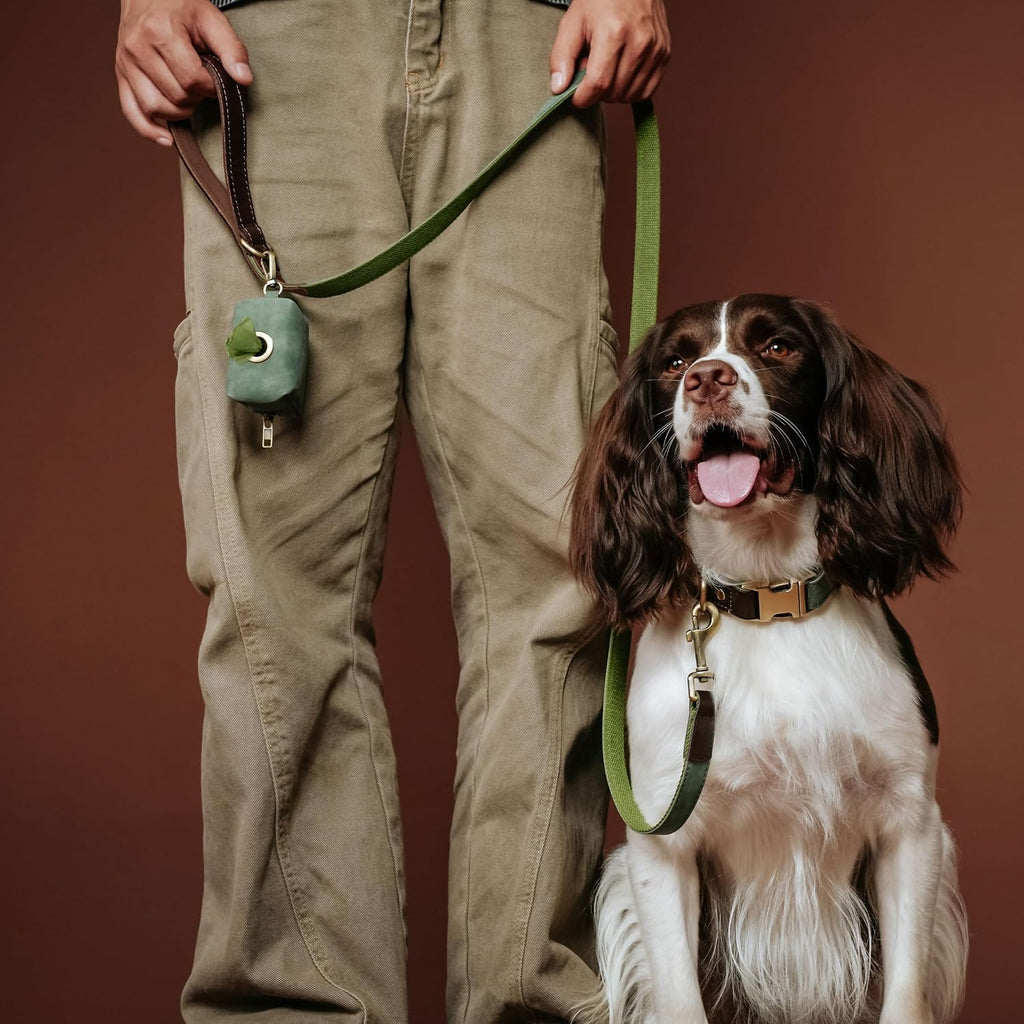 PU Leather Dog Leash for Medium Dogs, 5Ft Soft Padded Handle, Green