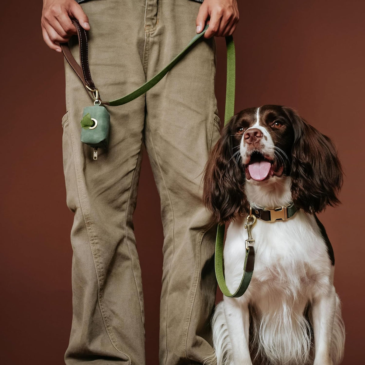 PU Leather Dog Leash for Medium Dogs, 5Ft Soft Padded Handle, Green
