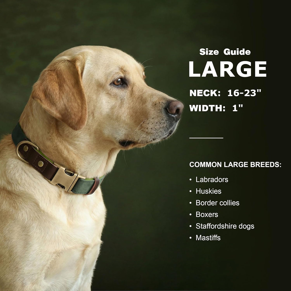 PU Leather Dog Collar for Large Dogs, Soft Nylon Lining, Green L