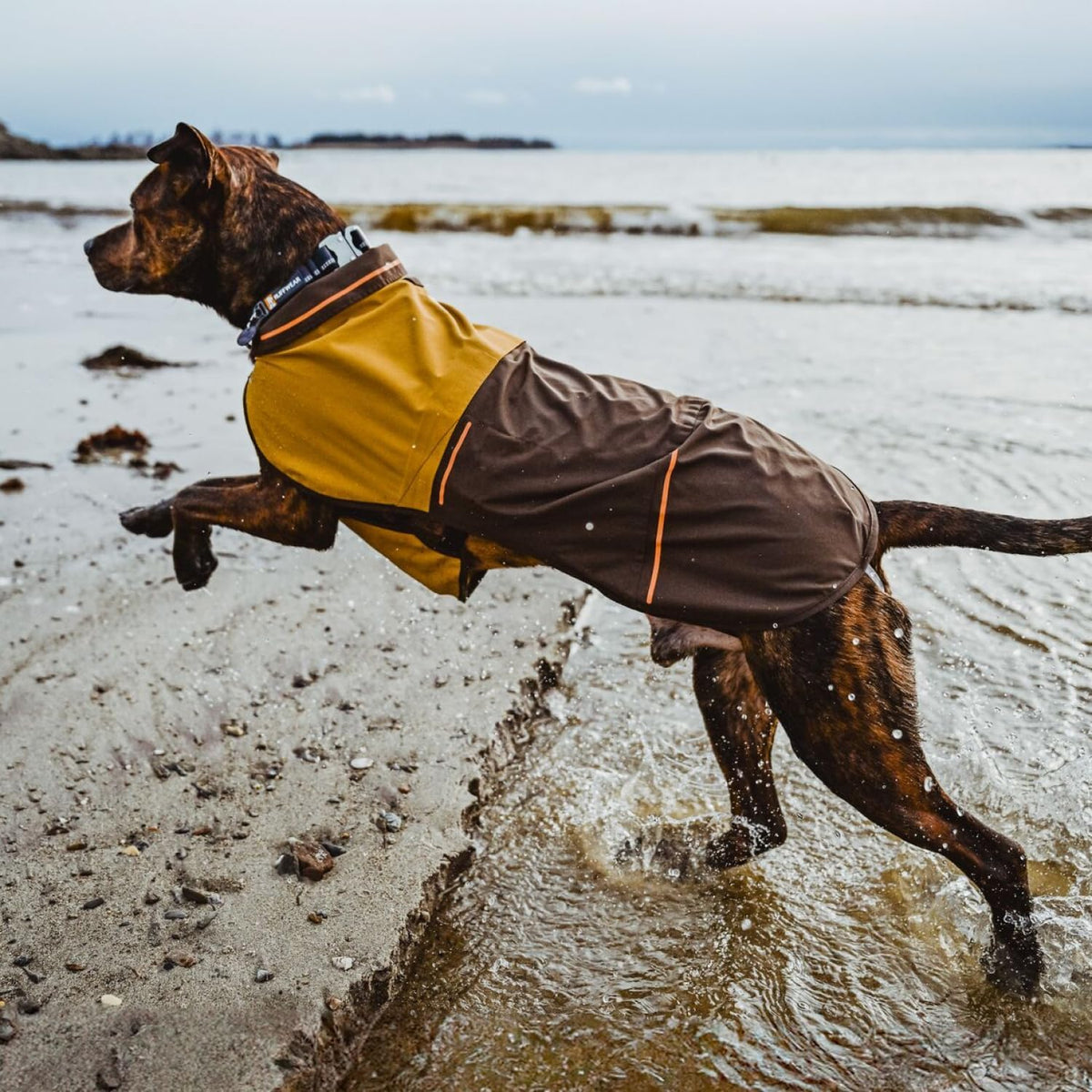 , Sun Shower Dog Raincoat, Earth Brown, Large