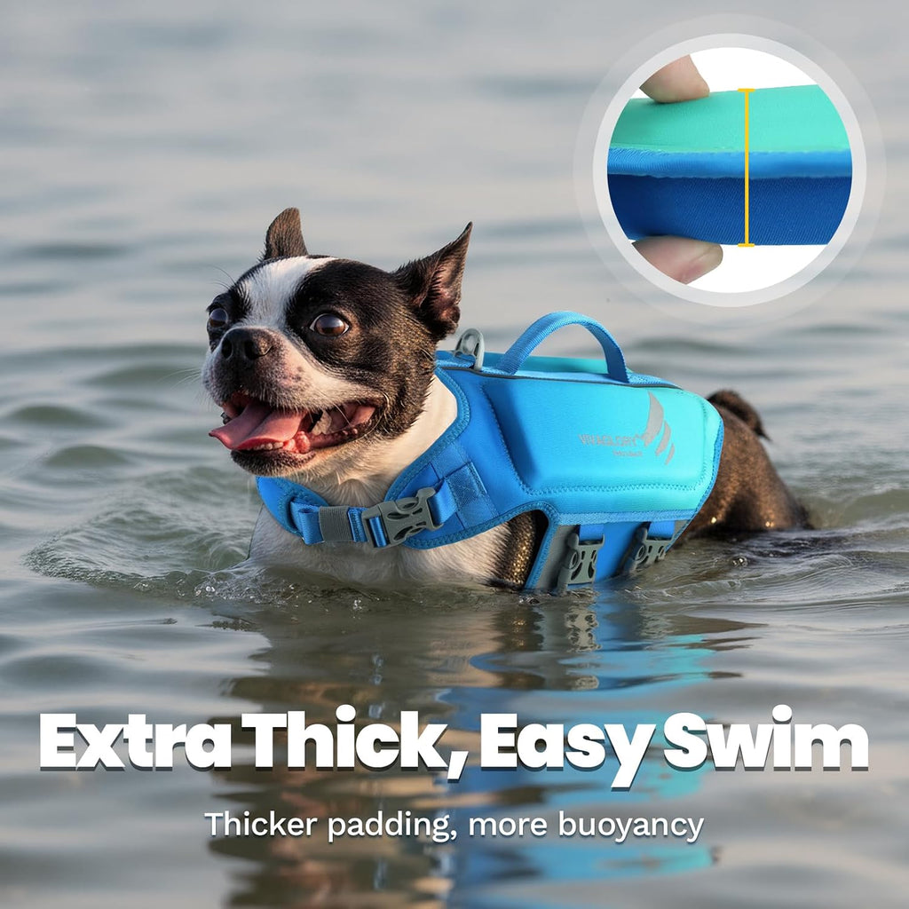Dog Life Vest High Buoyancy Dog Swim Vest, M, Turquoise