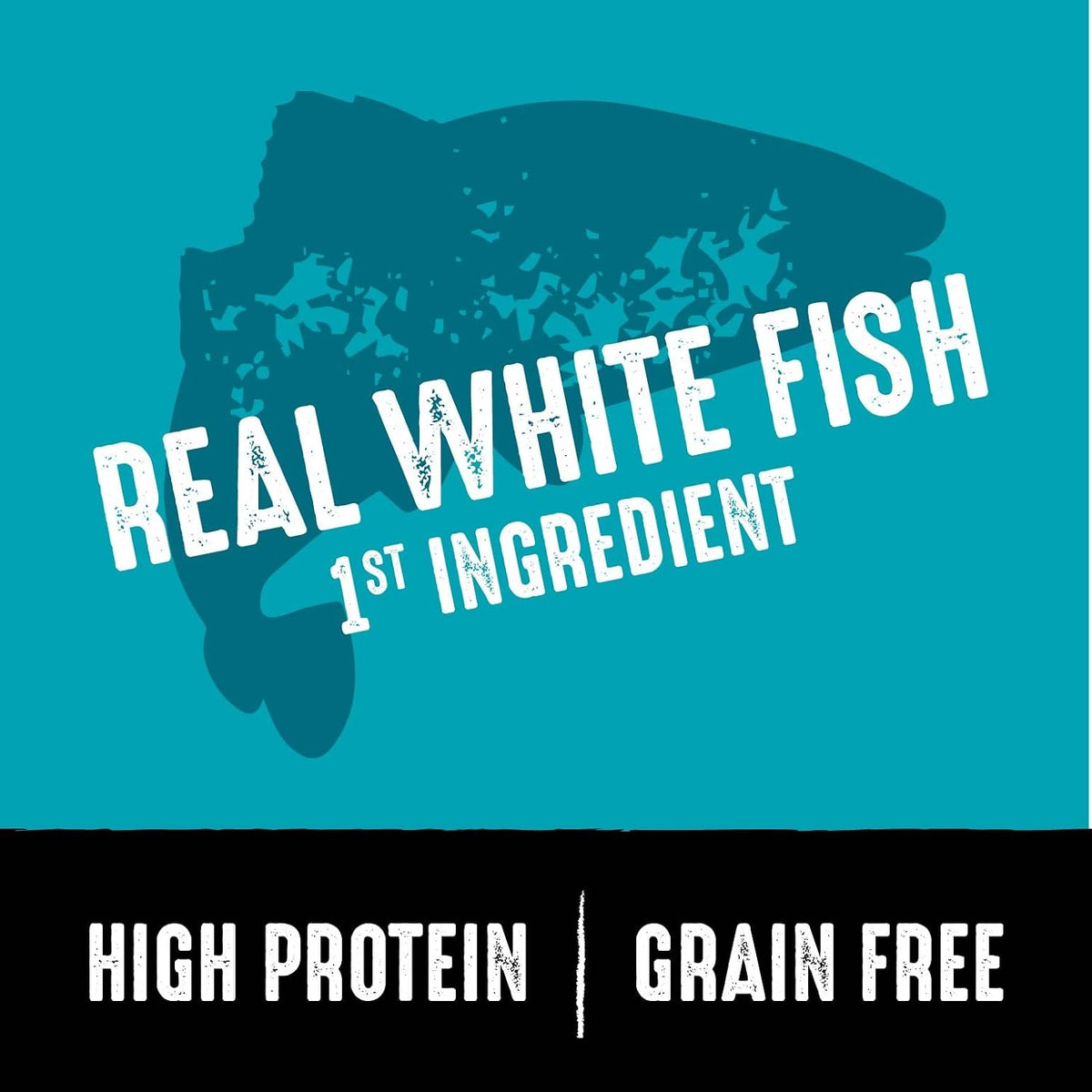 Grain Free High Protein Adult Dry Dog Food, White Fish & Salmon, 22 Lb. Bag