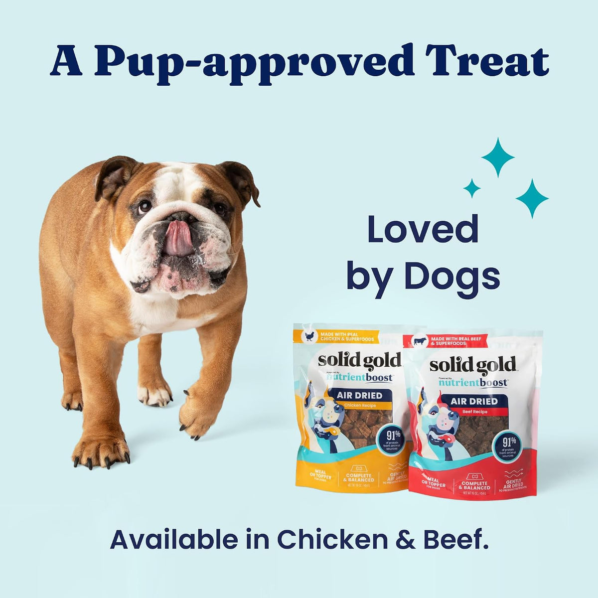 Air Dried Dog Food Topper & Treats for Picky Eaters, Chicken 1Lb