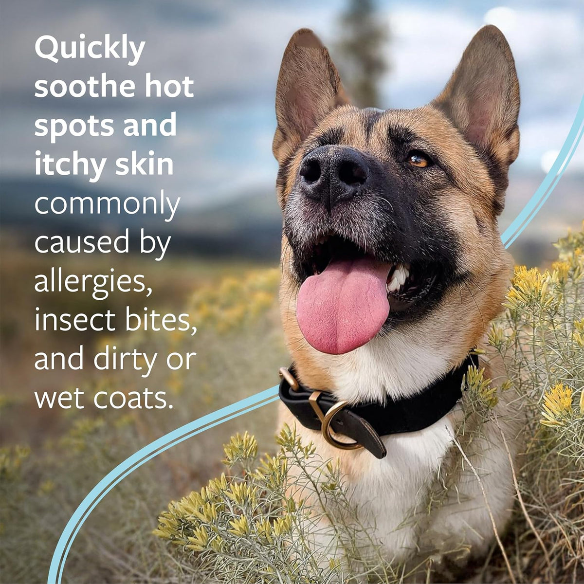 Clinical Care Hot Spot & Itch Relief Pet Shampoo, 16 Oz