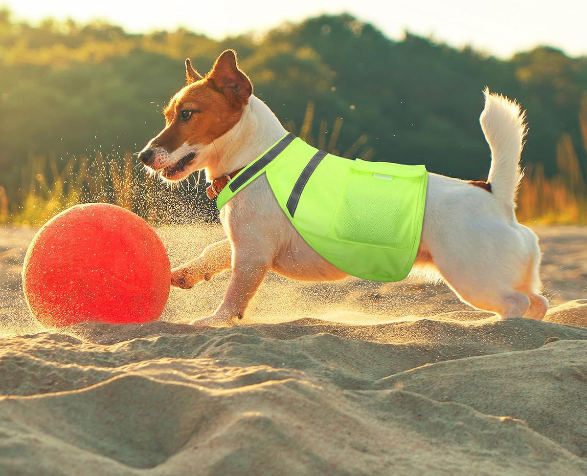 2 Pcs Dog Cooling Vest, Ice Pack, Fluorescent Green, Medium