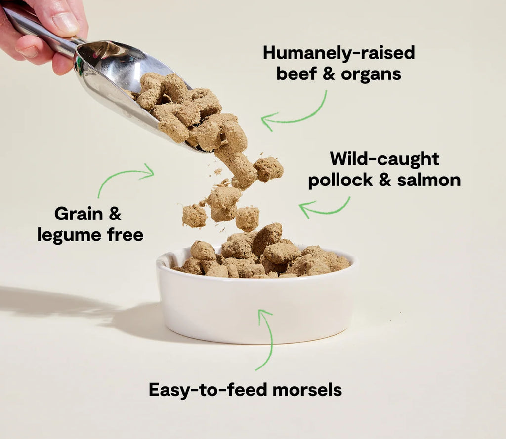 Rawmix Tide & Terrain Freeze Dried Raw Morsels for Dogs