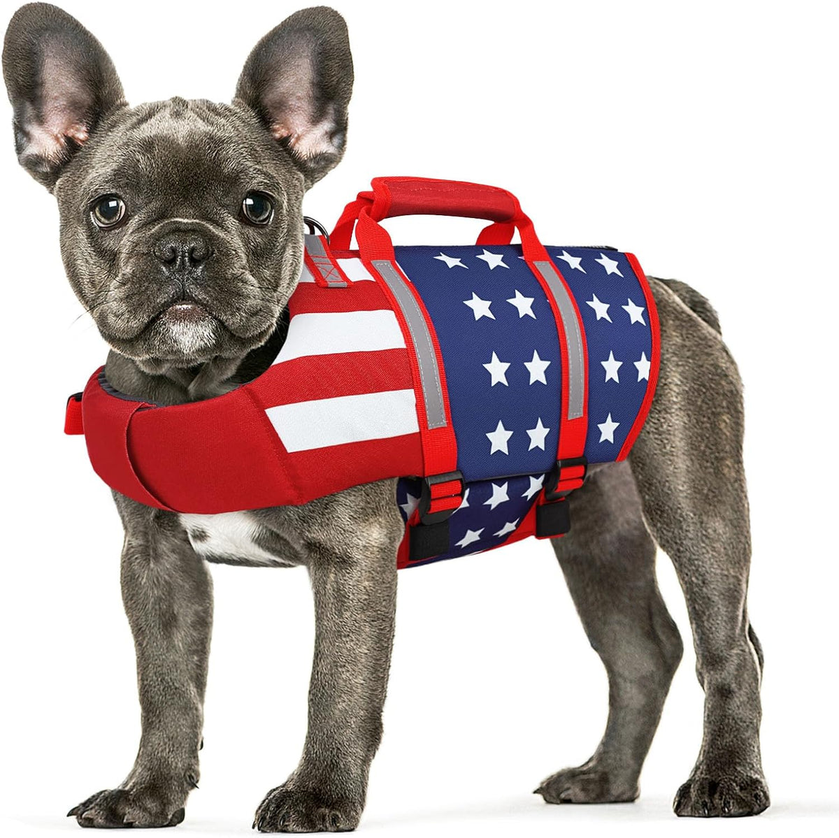 Dog Life Jacket for Small Dogs, Dog Life Vest for Swimming