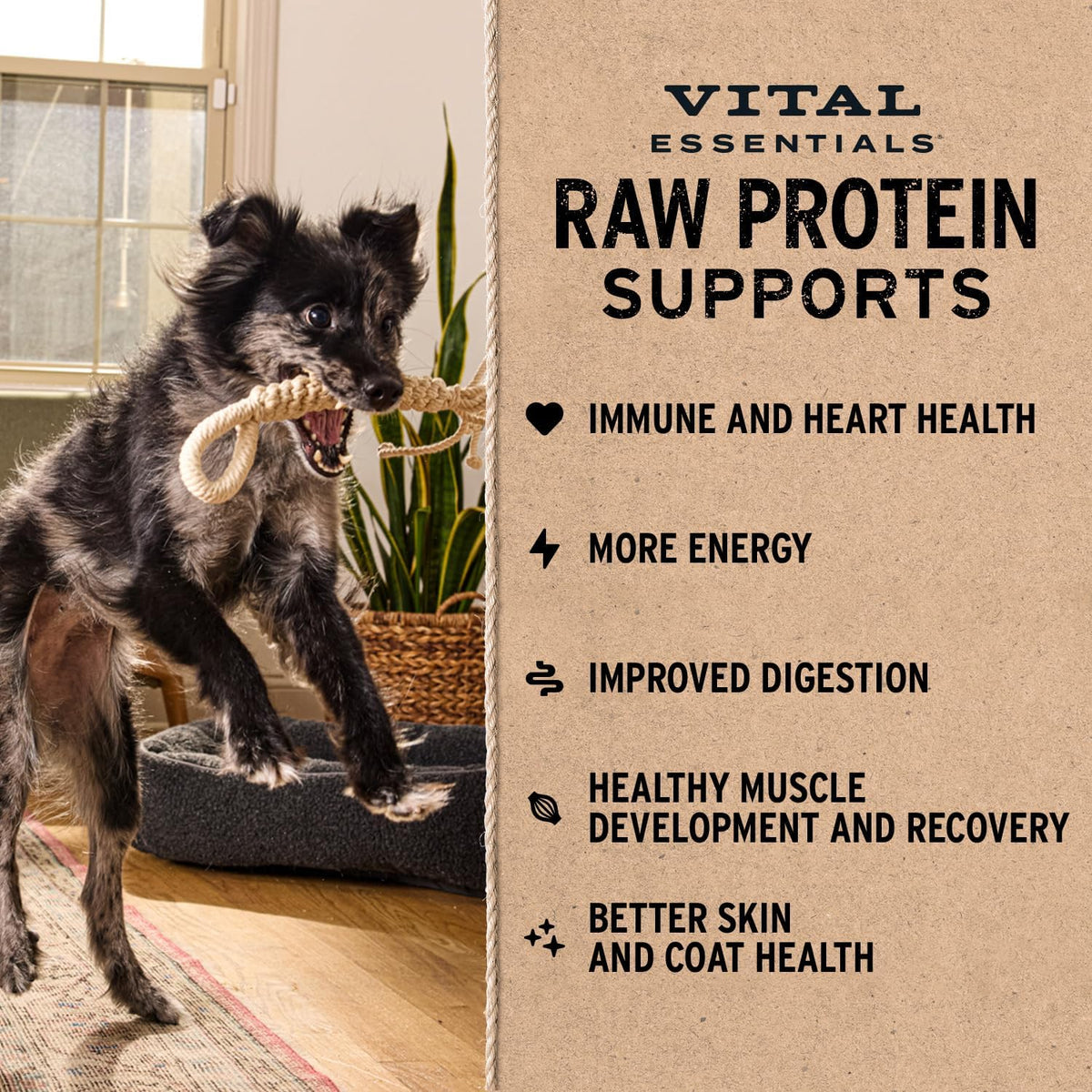 Freeze Dried Dog Food, Rabbit Crunchy Mini Nibs, 14 Oz Bag