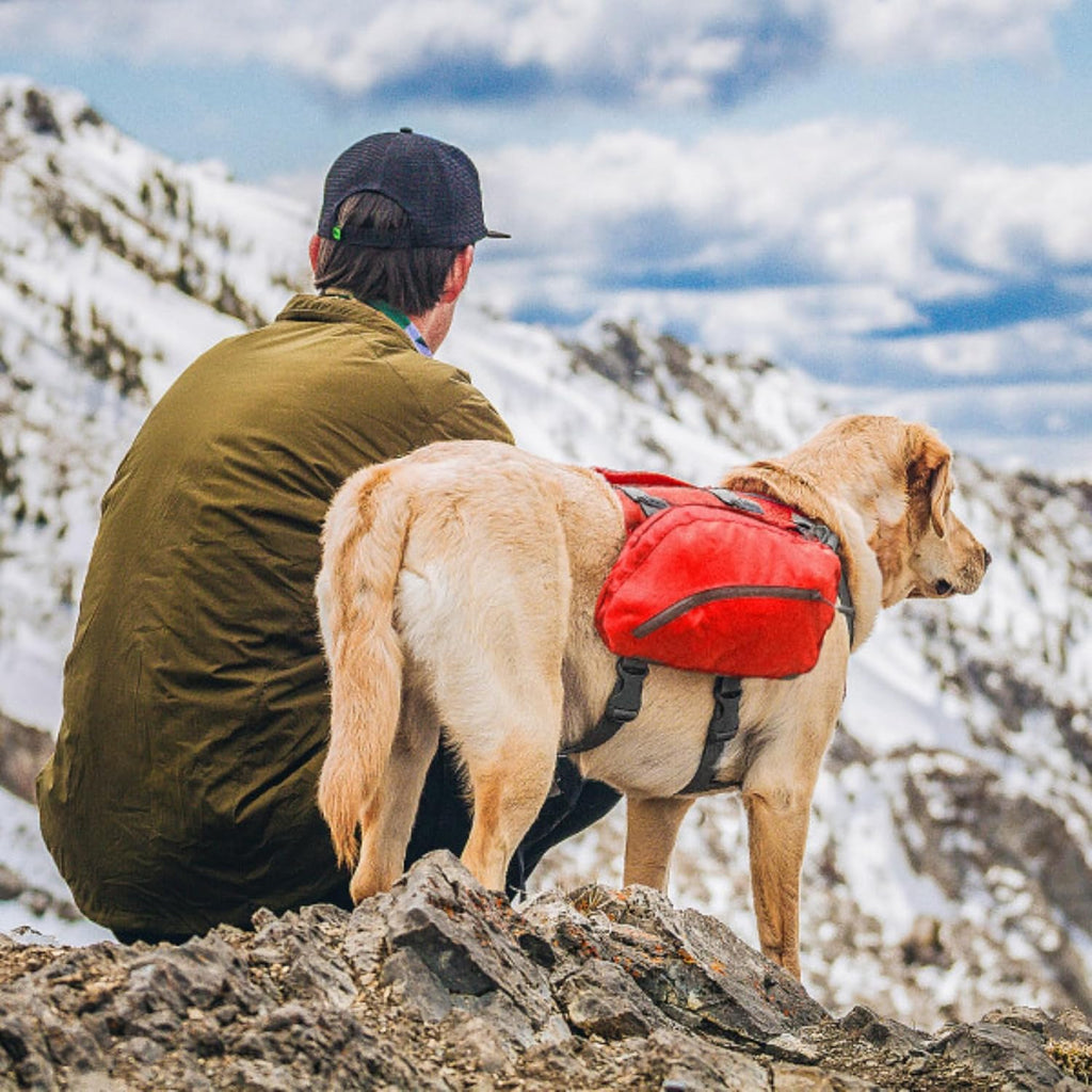 Big Baxter Dog Backpack Harness, Chili/Barn Red