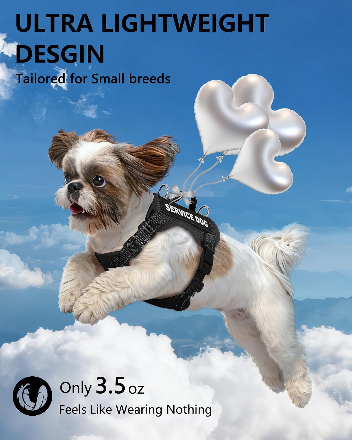Service Dog Vest for Small Breed Dogs with ID Tag – Lightweight Puppy Harness and Leash Set with 6 PCS Patches, Ideal Service Animal Vest for Training, Complete Service Dog Gear, Black, S
