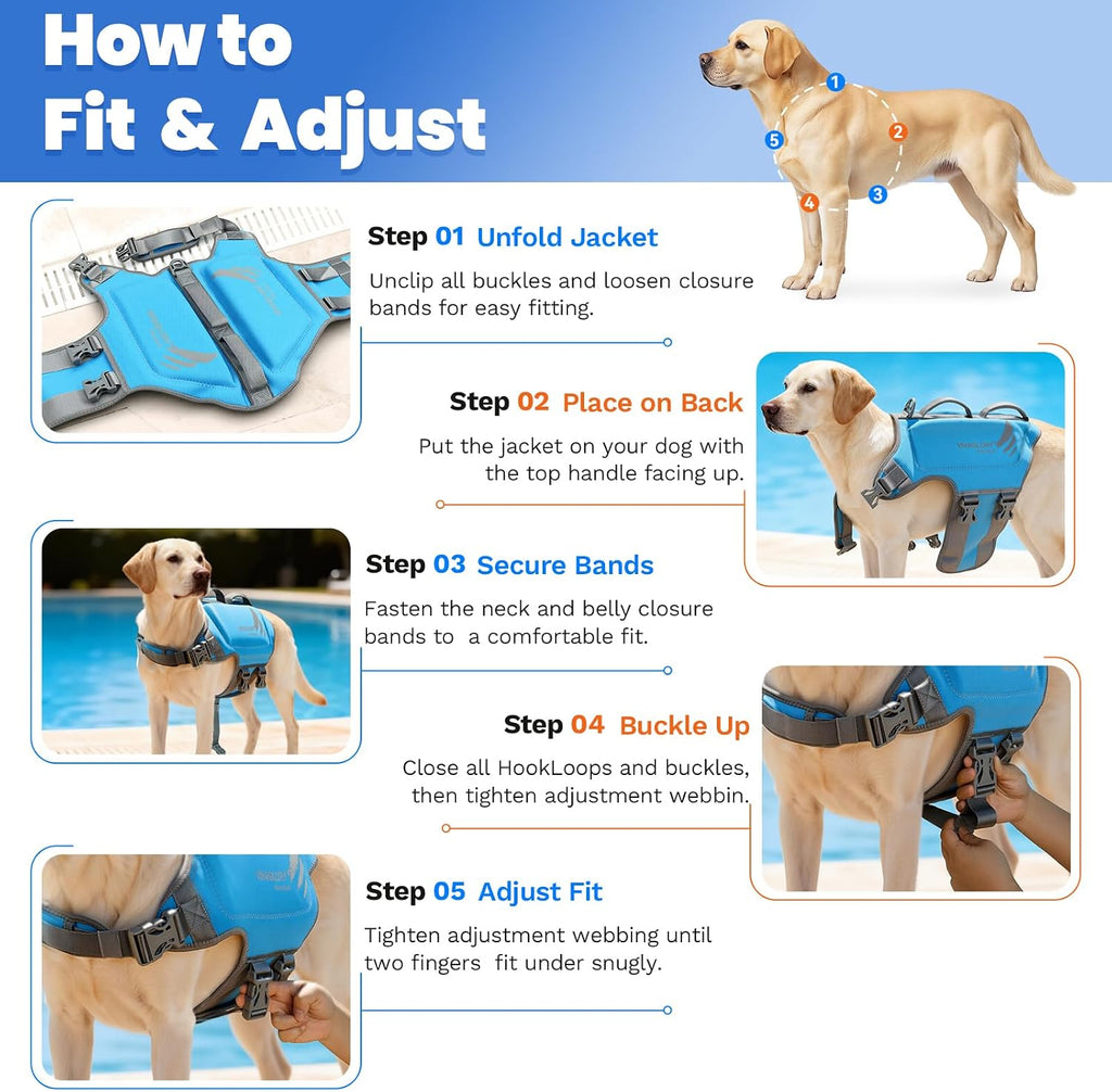 Dog Life Vest High Buoyancy Dog Swim Vest, M, Turquoise