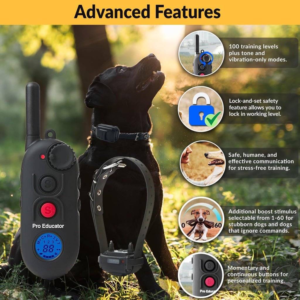 E-Collar  Pro PE-900 Dog Training Collar, 1 Dog, Black