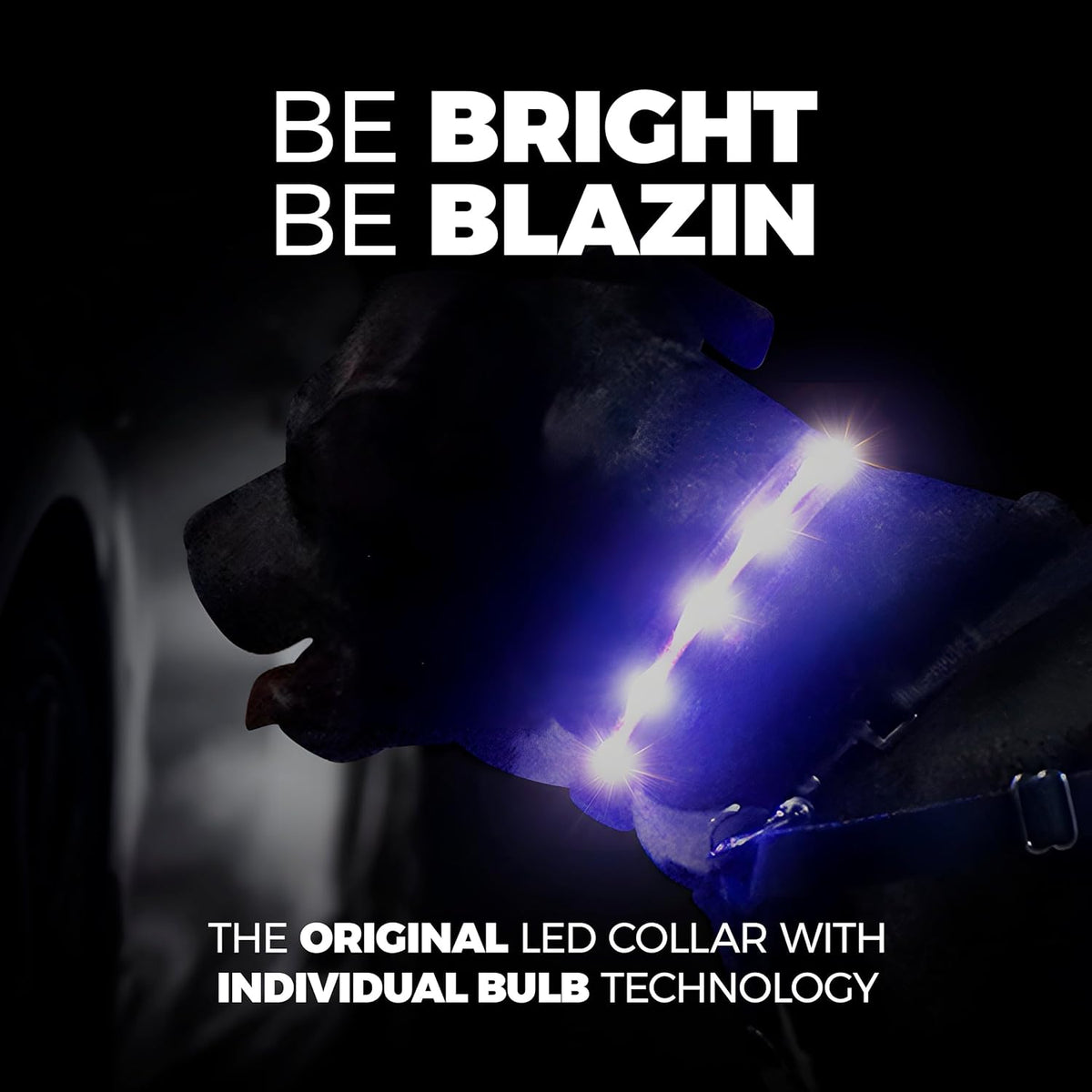 Light up Dog Collar - the Original LED Dog Collar - USB Rechargeable - Waterproof - 1,000 Feet of Visibility - Dog Collar Light for Small, Medium, Large Dogs - US Brand
