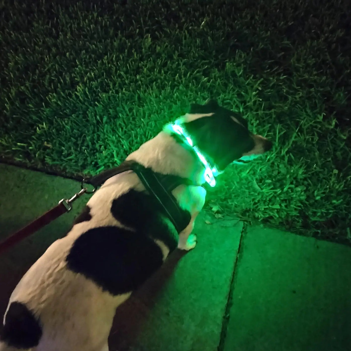 Silicone LED Dog Collar,Usb Rechargeable Glowing, Light up Collar Improved Pet Safety &Visibility at Night, 3 Flashing Modes