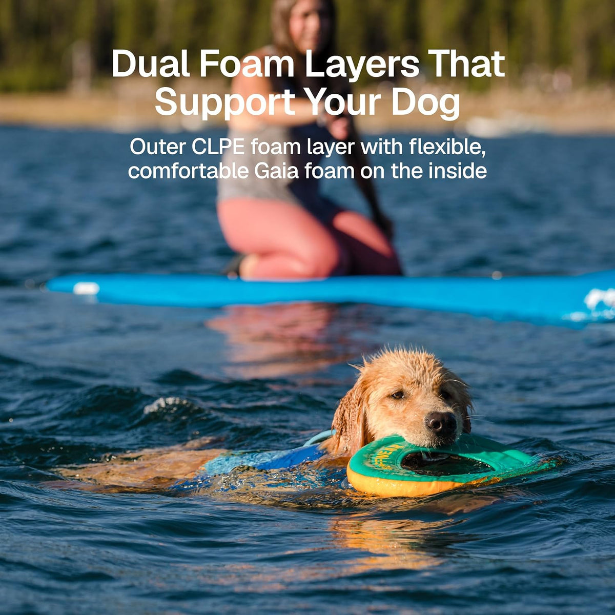 , Float Coat Dog Life Jacket, Swim Vest, Deep Blue, X-Small